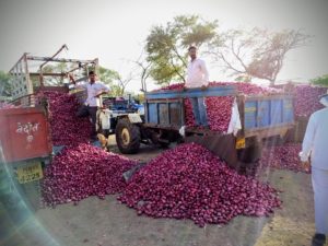 Onion Market